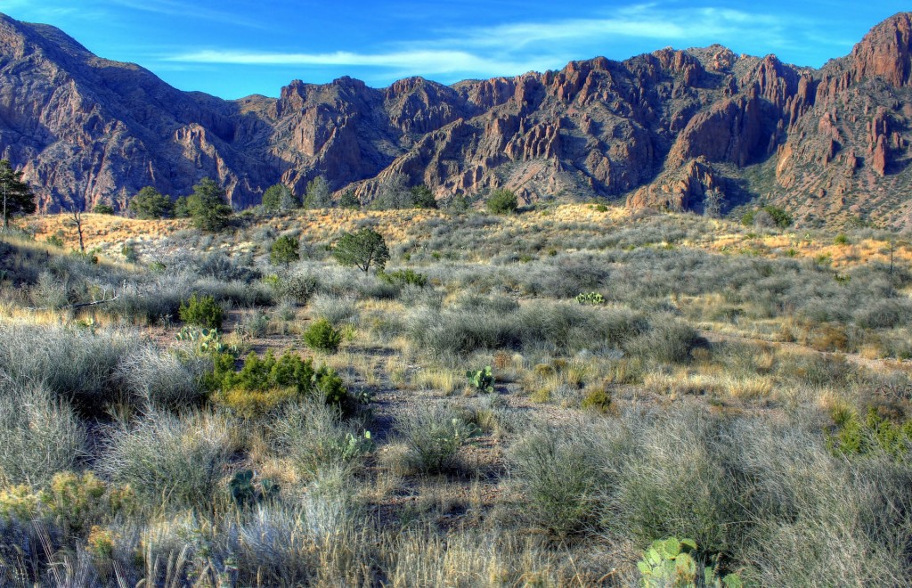 desert-texas