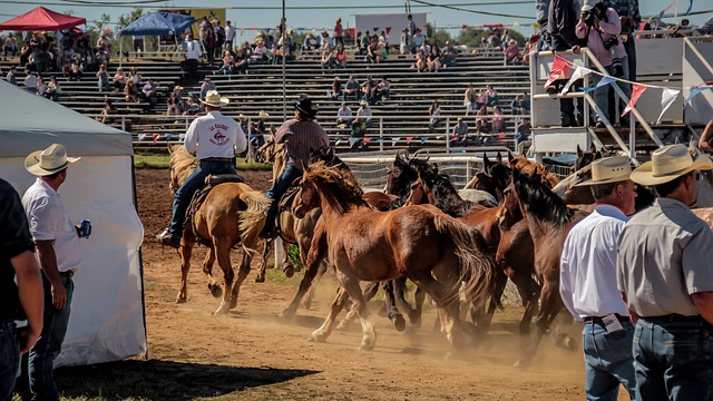 10 most common Texas stereotypes