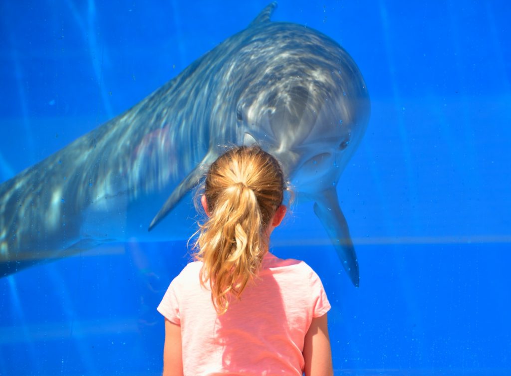 aquarium-girl-dolphin