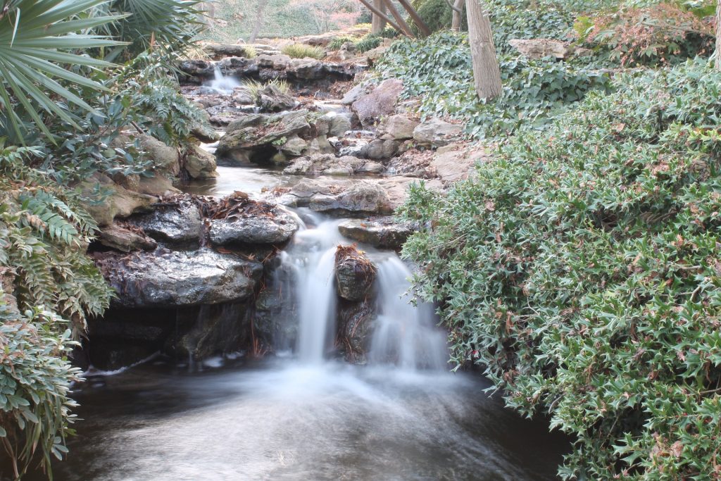 dallas-botanical-garden